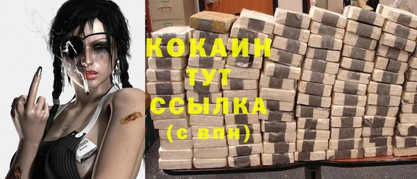 прущие грибы Рославль
