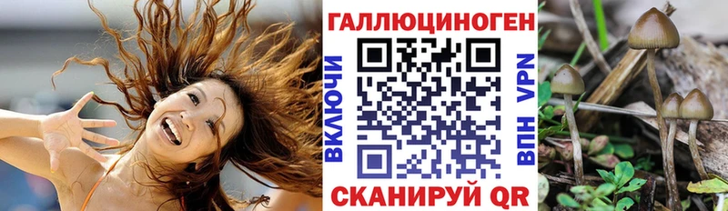 Купить закладки  Родники  Галлюциногенные грибы Magic Shrooms 