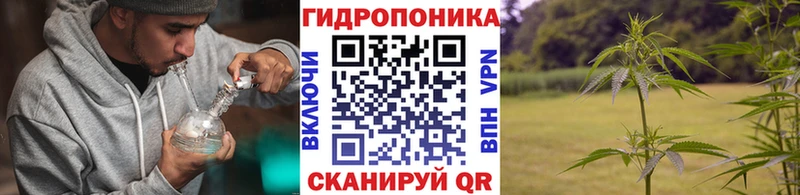 Канабис ГИДРОПОН  Купить где  Родники 